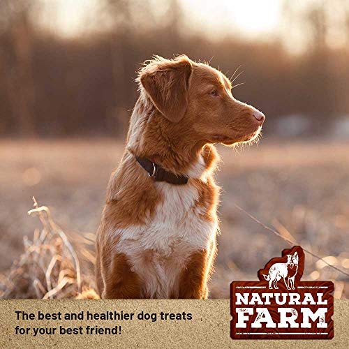 Natural Farm 6-Inch Bully Sticks (20-Pack) All-Natural, Farm-Raised Beef Dog Treats | Odor-Free, Grain-Free | Fully Digestible Chews for Small, Medium, Large Breeds