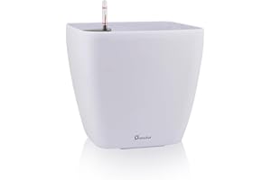 Dexceder 15x14 Self Watering Planter with Wheels Indoor Outdoor, Inner Mat Design, Thickened Large Floor Standing Flower Plant Pot with Water Level Indicator (White Matte)