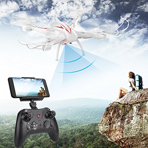 beebeerun drone