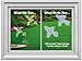 GC Window Alert Hummingbird Window Decal Screen Saver Set of 4
