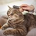 Paws Pamper Undercoat Rake for Small to Medium Dogs or Cats - 12 Blade Dematting Comb