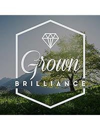 Pendientes de tuerca de 3 pines (color D-F, claridad VS SI) de oro de 14 quilates, 1 cttw con diamantes de laboratorio cultivados