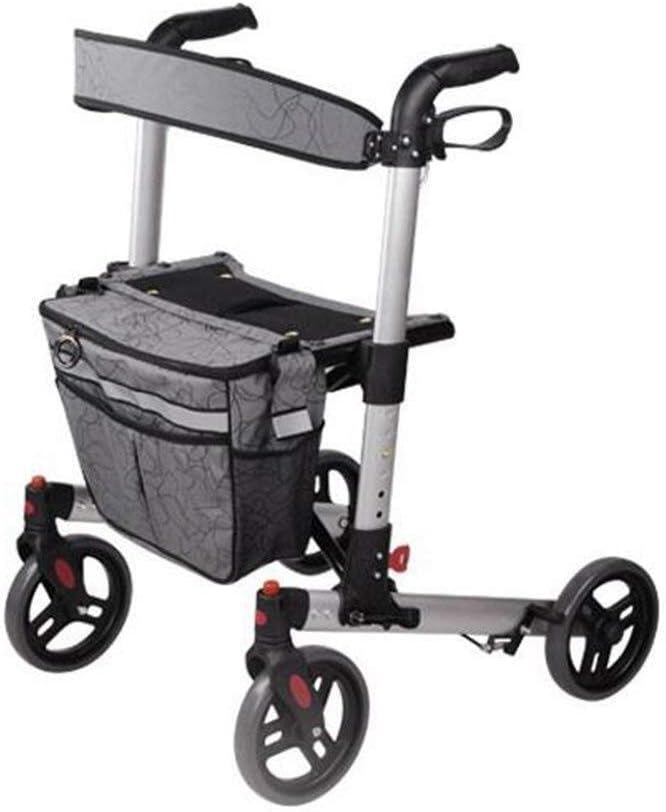 stroller for seniors