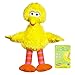 Playskool Sesame Street Plush Big Bird, 10 Inch