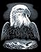 Reeves Bald Eagle Scraperfoil Artwork, Silver