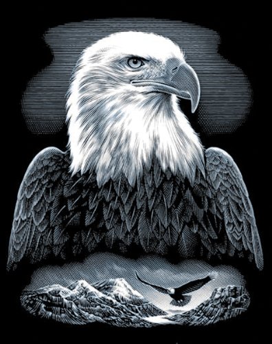 UPC 780804030228, Reeves Bald Eagle Scraperfoil Artwork, Silver