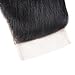 Topwigy Women's 100% Unpressed Brazilian Virgin Lace Closure Free Part Natural Straight Human Hair Closure Piece (4