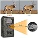 ZenNutt 1080P HD Game & Trail Hunting Camera 12 MP Low Glow Infrared Night Vision Motion Activated Wildlife Scounting Camera with 42pcs IR LEDs and 1 Year Manufacturer Warranty