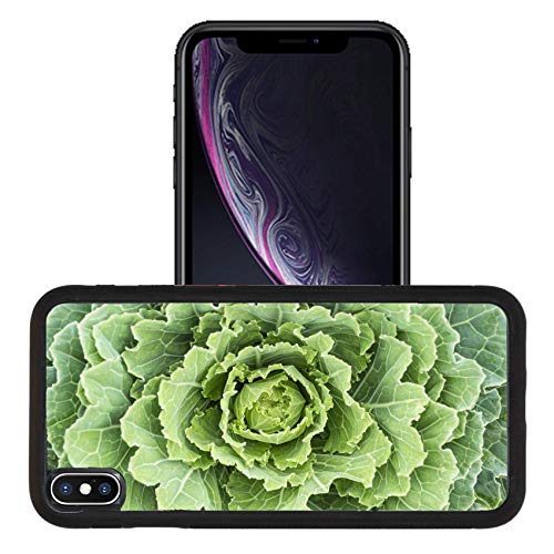 Luxlady Apple iPhone XR Case Aluminum Backplate Bumper Snap Cases Image ID: 24430749 A Green Ornamental Cabbage Flower