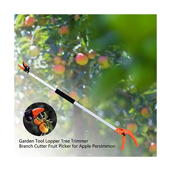 lang Reach Astschere Obst Ernteschere Rosenschere Baumschneider Garden ObstpflÃ¼cker Gartenschere mit Aluminiumgriff fÃ¼r Astzweige Trimming Lopper – Bild 8