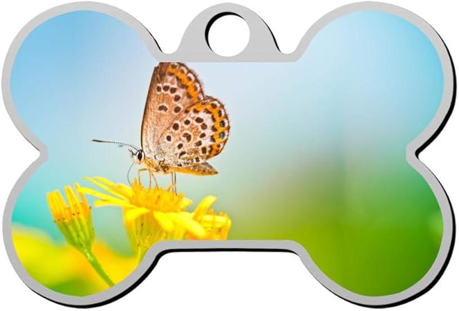 butterfly dog tag