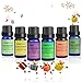 Tenswall Aromatherapy 6 Essential Oils 100% Pure Therapeutic Grade Basic Sampler 10 ml (Lavender,teatree,orange,peppermint,lemongrass,eucalyptus)