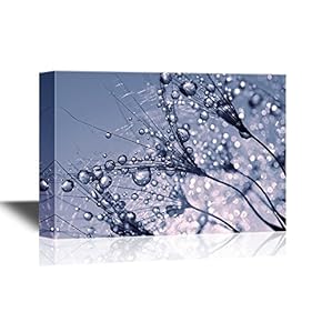 Canvas Wall Art - Dewy Dandelion Flower Close Up - Gallery Wrap Modern Home Art | Ready to Hang - 12x18 inches