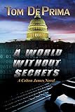 A World Without Secrets (Colton James novels Book 1)