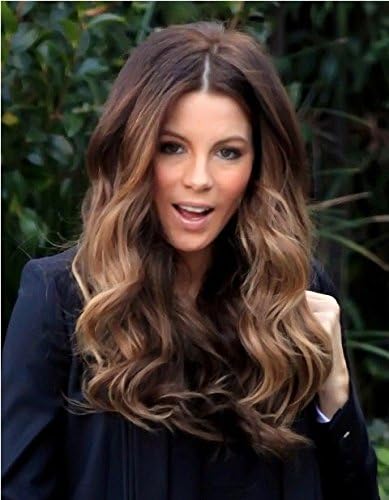 Brazilian Human Hair Full Lace Wig 20 Bayalage Ombre Color 4 8 27