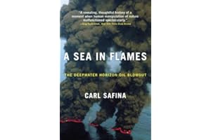 A Sea in Flames: The Deepwater Horizon Oil Blowout