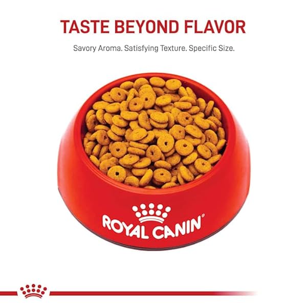 ROYAL CANIN FELINE CARE NUTRITION WEIGHT CARE ADULT DRY CAT FOOD, 3 LB BAG