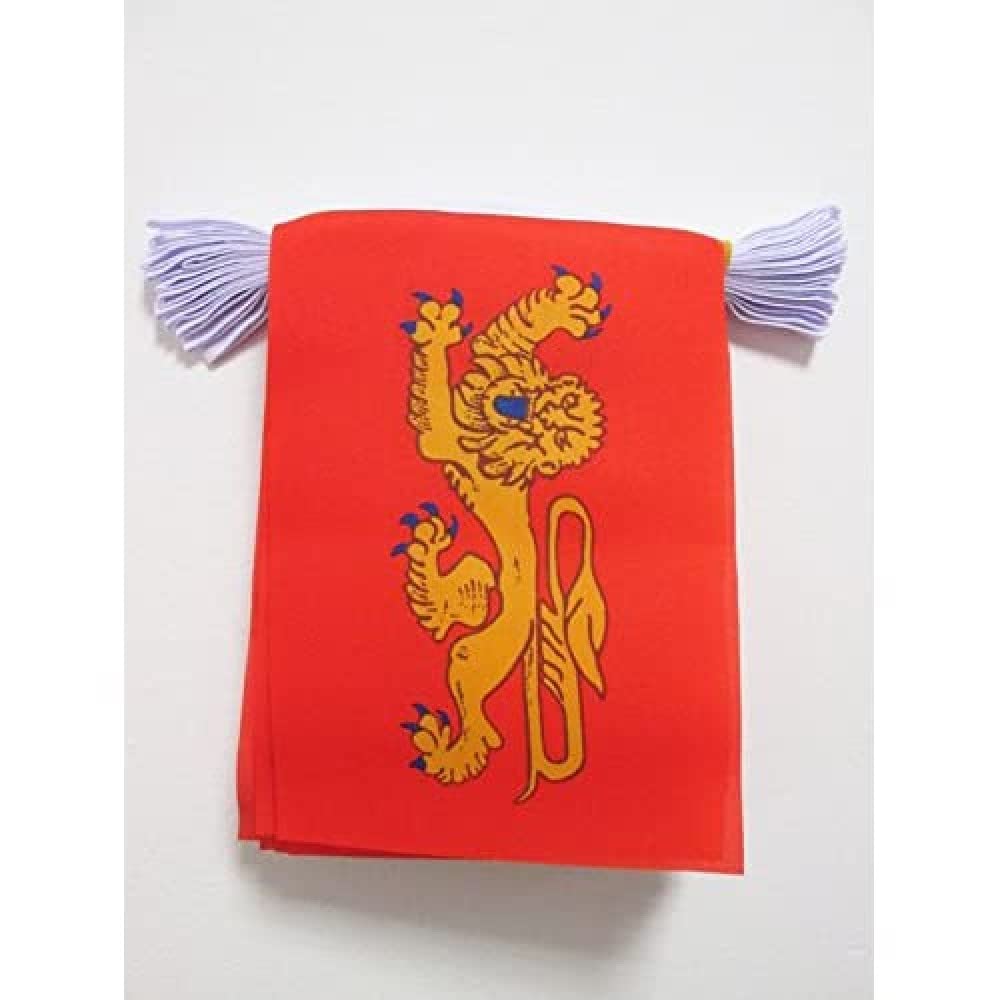 AZ FLAG Aquitaine Bunting Flag, 20 Ft Garland 20 Small Aquitaine Flags 8'' x 6'', 100% Polyester String Pennant, 6 meters — image 1