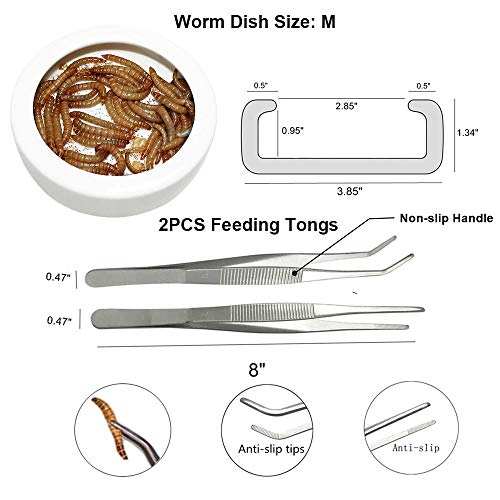 Adoggygo Worm Dish Reptile Mealworm Feeder Dish Ceramic Bowl With