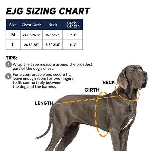 EJG Tactical Dog Harness Vest, with Velcro Area, No Pulling Design, Comfy Mesh Padding, Service Dog, Military Training, Hunting, for Medium & Large Dogs(Black M)