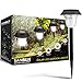 SANSUN Solar LED Path Light Outdoor Garden Lawn Landscape Waterproof Solar Stake Light (Set of 6)