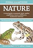 Formac Pocketguide to Nature: Animals, plants and birds in New Brunswick, Nova Scotia and Prince Edward Island by Jeffrey C. Domm