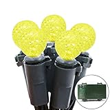 Lalapao G12 Battery Operated String Lights 50 LED Fairy Christmas Lighting Decor Timer For Outdoor Indoor Garden Patio Lawn Holiday Wedding Decorations (Warm White)