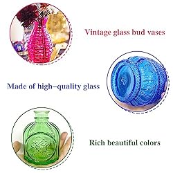 20pcs Glass Bud Vases Set,Colored Flower Vases in