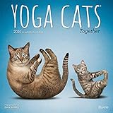 Yoga Cats Together 2020 12 x 12 Inch Monthly Square Wall Calendar by Plato, Animals Humor Cat by 