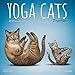 Yoga Cats Together 2020 12 x 12 Inch Monthly Square Wall Calendar by Plato, Animals Humor Cat by 