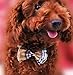 Generic Cute Pet Bowknot Tie Bow Adjustable Knot Necktie Clothing Collar For Dog and Cat Puppy?Pet Yellow and Black Color