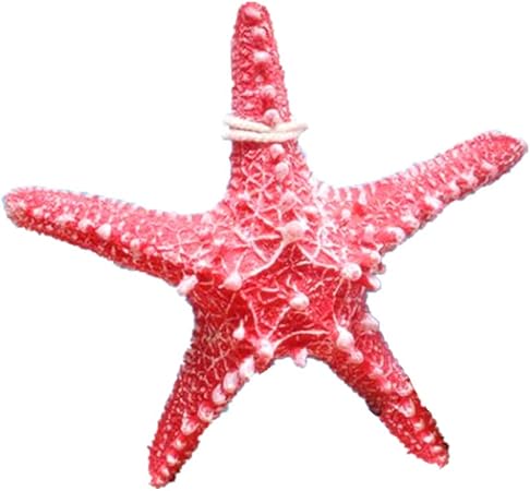 Rayline Do Raylinedo Raylinedo Decoration Murale A Suspendre En