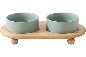 Havniva Ceramic Elevated Cat Food and Water Bowl, Kitty Bowl, Raised Cat Dish, Cat Feeder (5.1 in, 2 x Light Green + Stand)