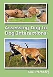 Assessing Dog to Dog Interactions