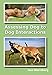 Assessing Dog to Dog Interactions