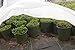 Agfabric Plant Covers Freeze Protection Floating Row Covers 10'x25' 0.55oz Plant Covers Freeze Protection,Row Covers for Vegetables,White