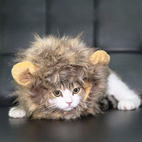 CatYou Pet Dog Christmas Halloween Photo Festival Party Fancy Dress Up Lion Mane Wig