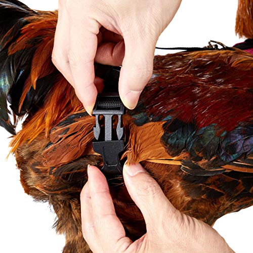 CXWAWSZ Hühnerleiter Schaukel Huhn Geschirr Henne Größe Hühnerstall Schaukel Leiter Cchicken Geschirr und Leine Huhn… – Bild 3