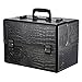 Docooler Lockable Cosmetic Organizer, Box Foldable Makeup Train Storage Case Holder, 2 Layers (Black)