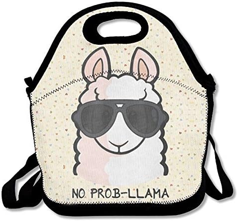 No Prob- Llama Waterproof Lunch Tote Bag Portable Picnic Lunch Box Lunch Pouch