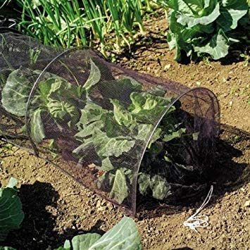 LARGE 3m CLOCHE GROW TUNNEL NETTING. PROTECT PLANTS FROM BIRD DAMAGE