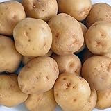 じゃがいも きたあかり （正規品・L/2L） 5kg 北海道産 じゃがいも 人気 キタアカリ　旨い 北あかり