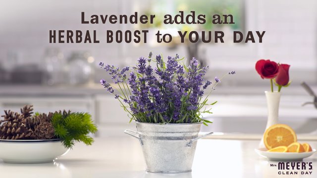 6 Mrs+Meyers+Multi+Surface+Concentrate+Lavender