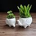 Set of 2 Cute Elephant Flower Pot,Modern White Ceramic Succulent Planter Pots/Tiny Flower Plant Containers (Elephant)