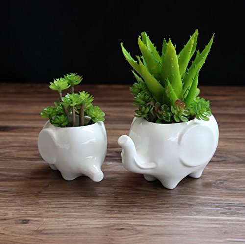 Sea star Set of 2 Cute Elephant Flower Pot,Modern White Ceramic Succulent Planter Pots / Tiny Flower Plant Containers (Elephant)