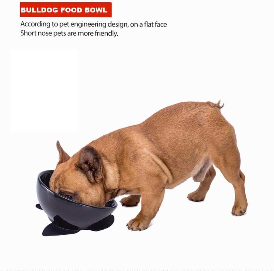 flat dog bowl