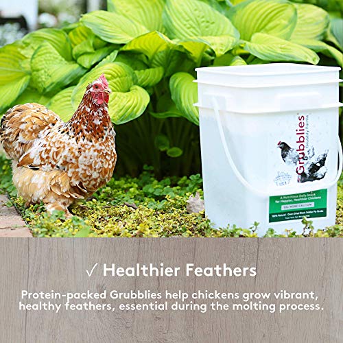 3 Grubblies+USA+Grown+Mealworms+Nutritious+Oven+Dried