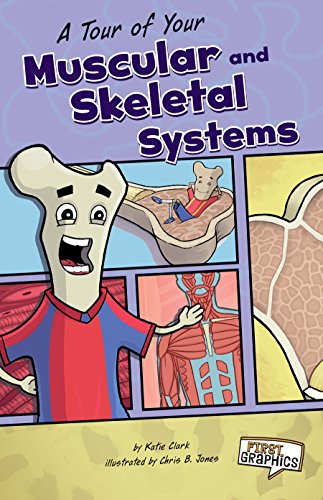 A Tour of Your Muscular and Skeletal Systems (First Graphics: Body Systems)