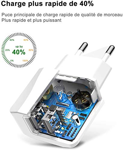 IceFrog Cargador Movil con Cable USB Tipo c [2Pack 2M], Cargador de Movil con 2 Puertos para Samsung S10/S9/S9 Plus/S8+/S8,Note 9/8,Huawei P30/P20/P10/P9/P9+,Xiaomi Mi A2/A1/8/9,Note 7/8/9/10 y más