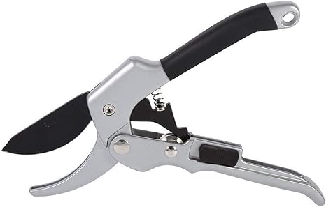 Amazon Co Jp 剪定鋏 園芸用はさみ 高枝切りバサミ ステンレス製 果樹 庭木の剪定 盆栽 剪定道具 植木のお手入れ 園芸草抜き ホーム キッチン